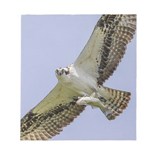 Bloc De Notas Osprey con un pez
