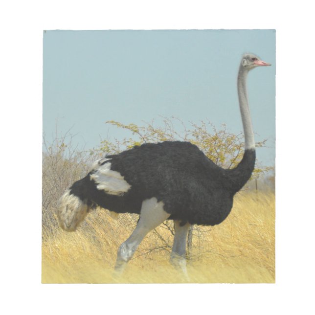 Bloc De Notas Ostrige fuera a correr (Frente)