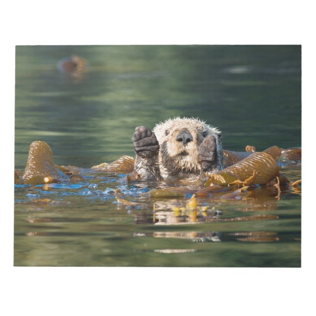 Bloc De Notas Otter Sea Otter (Frente)