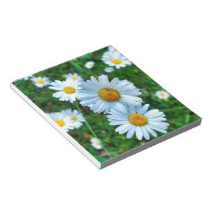 Bloc De Notas Ox-Eye Daisies
