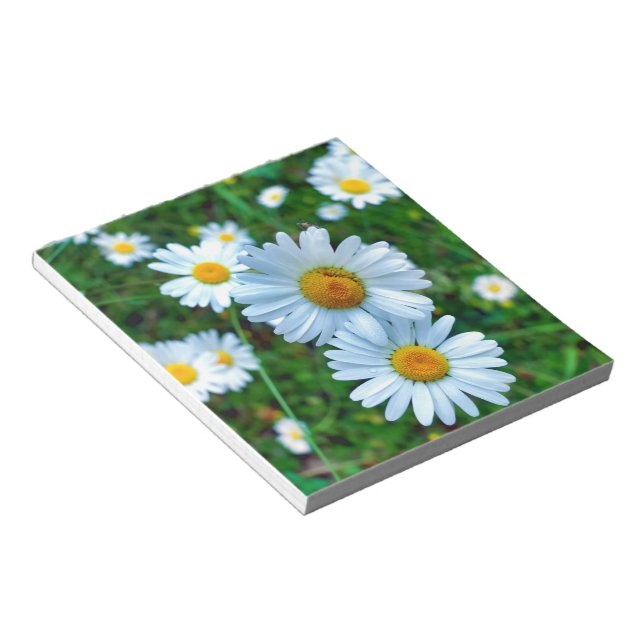 Bloc De Notas Ox-Eye Daisies (Lado Derecho)