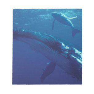 Bloc De Notas Pacífico Sur, Tonga. ballena jorobada y cría