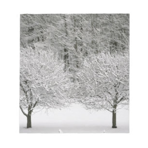 Bloc De Notas Paisaje cubierto de nieve