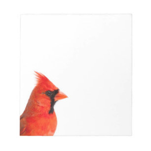 Bloc De Notas Pájaro cardinal