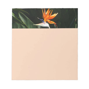 Bloc De Notas Pájaro del Naranja del paraíso Flor tropical
