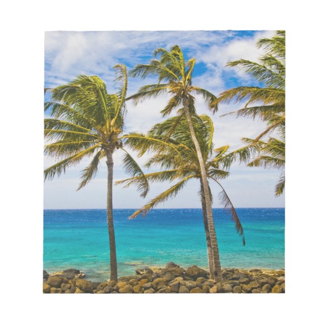 Bloc De Notas Palmeras de coco (Cocos nucifera) que se mecen (Frente)
