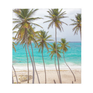 Bloc De Notas Palmeras de Playa