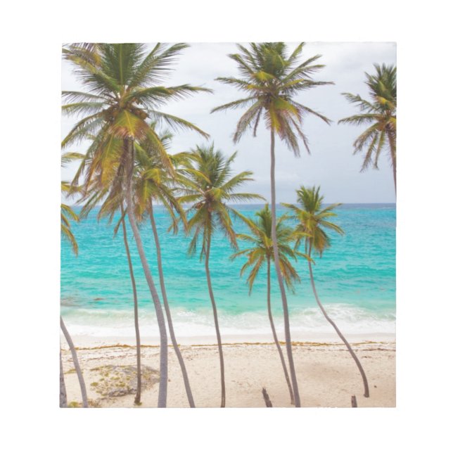 Bloc De Notas Palmeras de Playa (Frente)