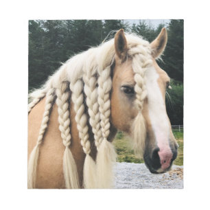 Bloc De Notas Palomino Gypsy Vanner