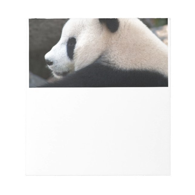 Bloc De Notas Panda Bear Hugs (Frente)