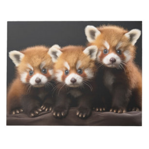 Bloc De Notas Panda Rojo Retrato Animal Salvaje Belleza Naturale