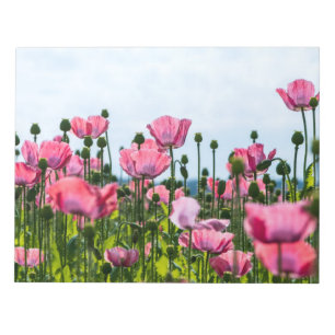 Bloc De Notas Papas rosadas