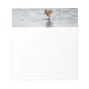 Bloc De Notas Papel de Stationship con foto de pájaro
