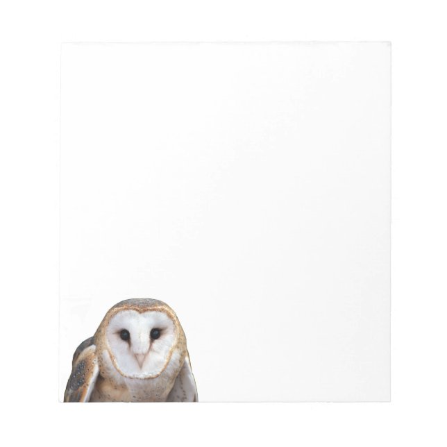 Bloc De Notas Papel de tarjetas de notas de foto de búho de Barn (Frente)