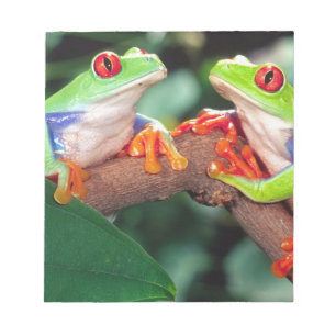 Bloc De Notas Pareja de ranas de ojos rojos, Agalychinis callidr