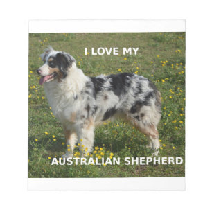 Bloc De Notas pastor australiano azul merle love w pic