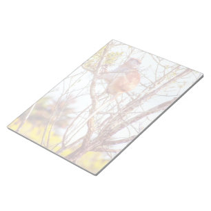 Bloc De Notas Patas arriba un árbol