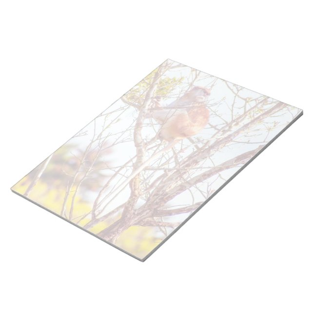 Bloc De Notas Patas arriba un árbol (Lado Derecho)