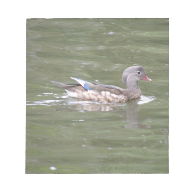 Bloc De Notas Pato en el lago Notepad (Frente)