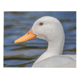 Bloc De Notas Pato mallorquín blanco