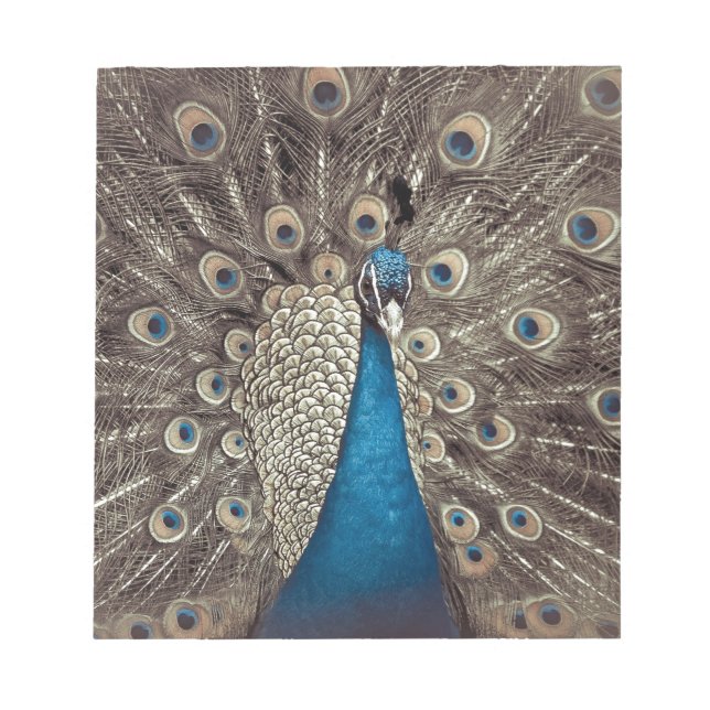 Bloc De Notas Pavo Real Azul Antiguo (Frente)