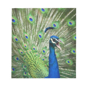 Bloc De Notas Pavo real de griterío