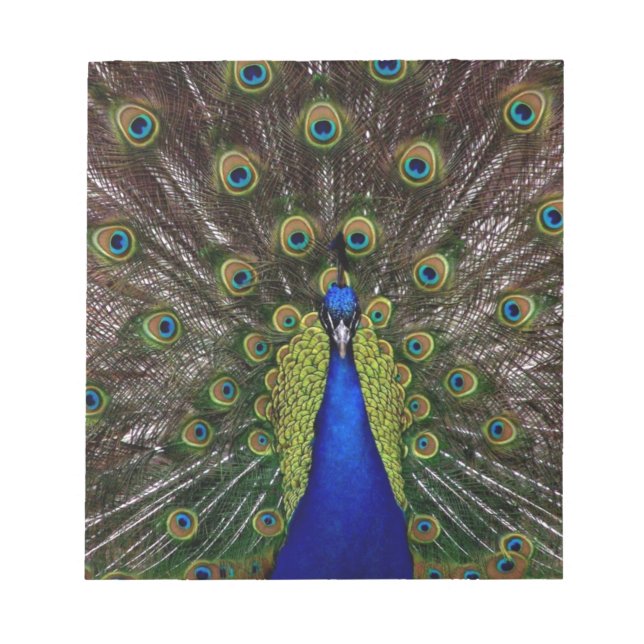 Bloc De Notas Peacock (Frente)