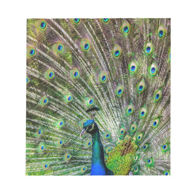 Bloc De Notas Peacock (Frente)