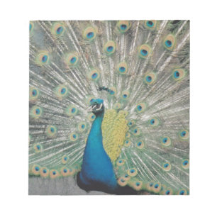 Bloc De Notas Peacock