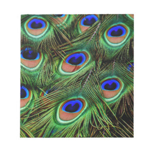 Bloc De Notas Peacock Feathers