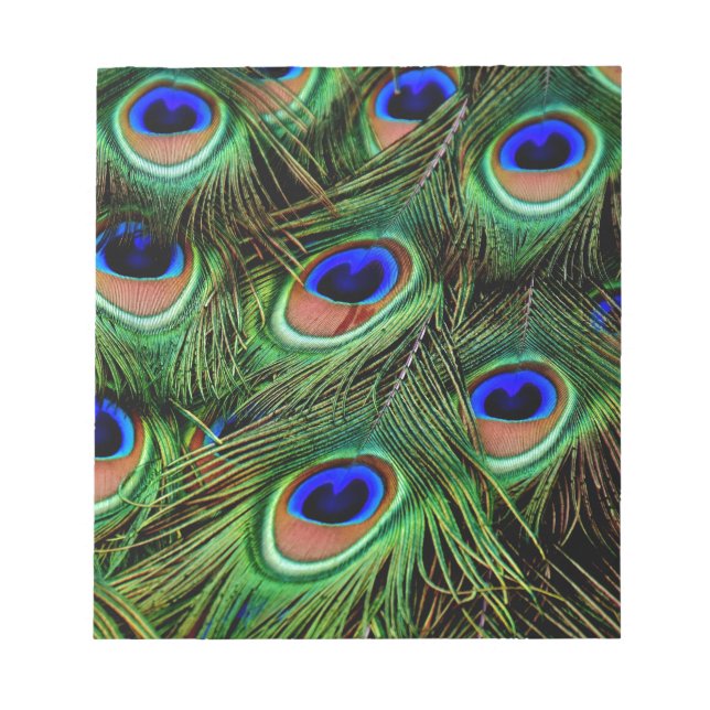Bloc De Notas Peacock Feathers (Frente)
