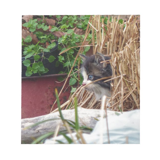 Bloc De Notas Peek-a-Boo (Frente)