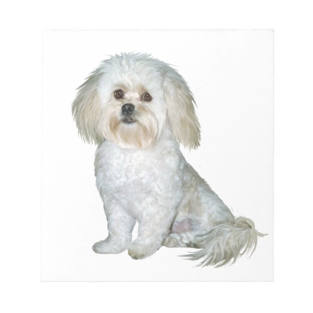 Bloc De Notas Pekkkapoo (Peek-a-Poo) (Frente)