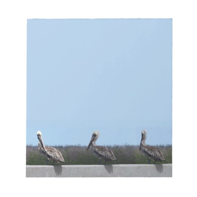 Bloc De Notas Pelícanos (Frente)