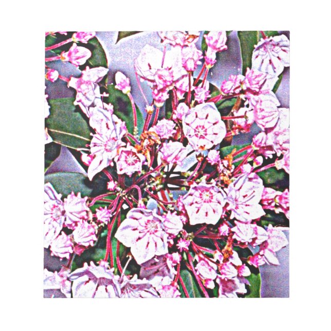 Bloc De Notas Pennsylvania Mountain Laurel (Frente)