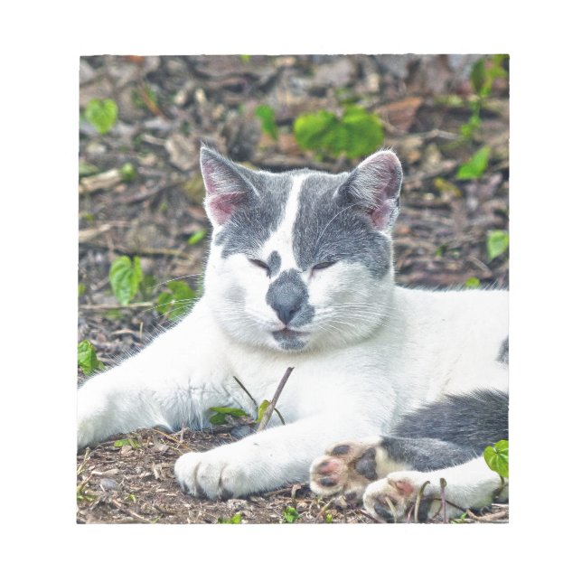 Bloc De Notas Pequeño Mister Pants (Frente)