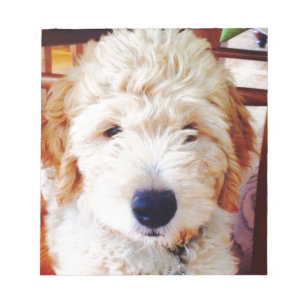 Bloc De Notas Perrito de Goldendoodle