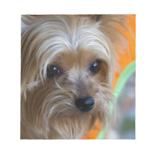 Bloc De Notas Perrito de señora Yorkshire Terrier