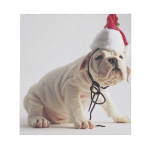 Bloc De Notas Perrito del bulldog que lleva el gorra de Santa