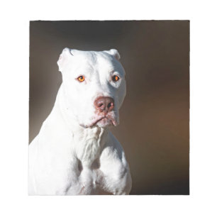 Bloc De Notas Perro blanco del rescate de Pitbull Terrier del
