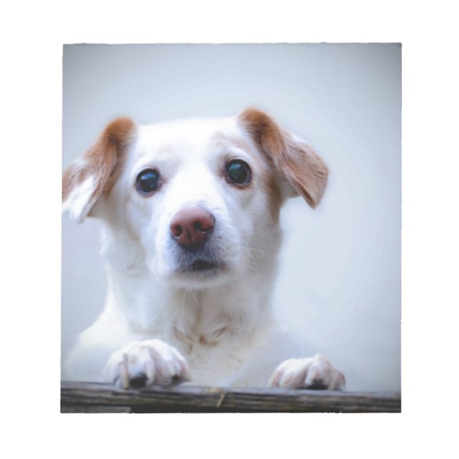 Bloc De Notas Perro blanco. Qué lindo. (Frente)