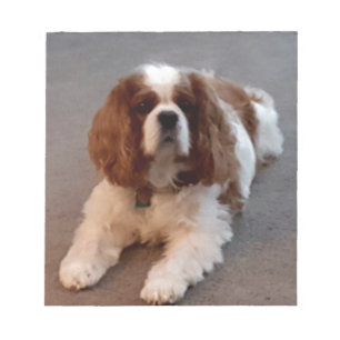 Bloc De Notas Perro de aguas de rey Charles arrogante adorable