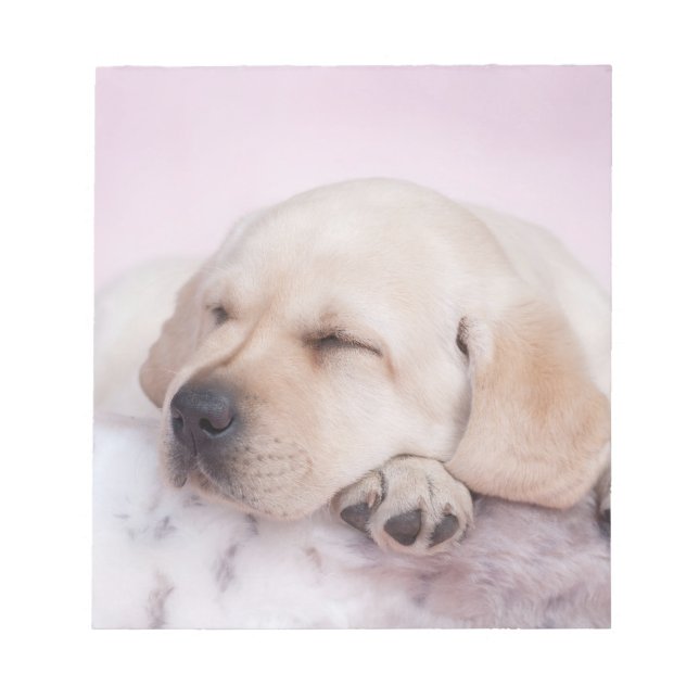 Bloc De Notas Perro de recuperación de labrador amarillo (Frente)