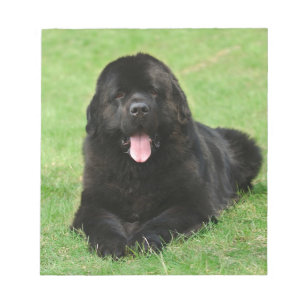 Bloc De Notas Perro de Terranova