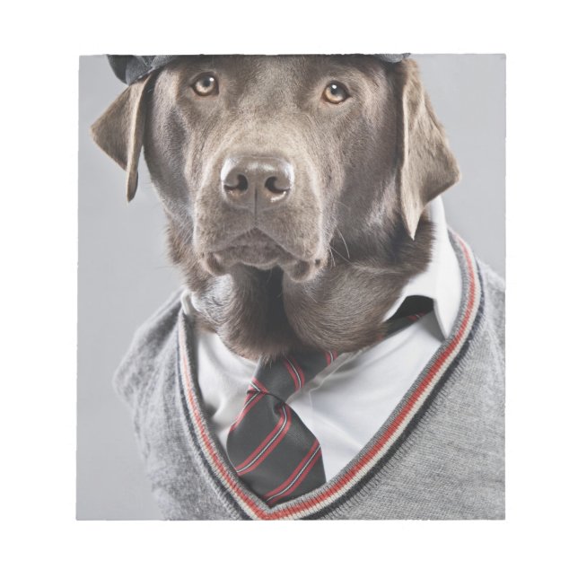 Bloc De Notas Perro en suéter y gorra (Frente)