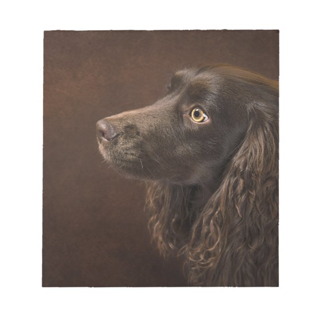 Bloc De Notas Perro moreno (Frente)