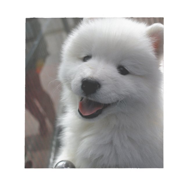 Bloc De Notas Perro Samoyed (Frente)