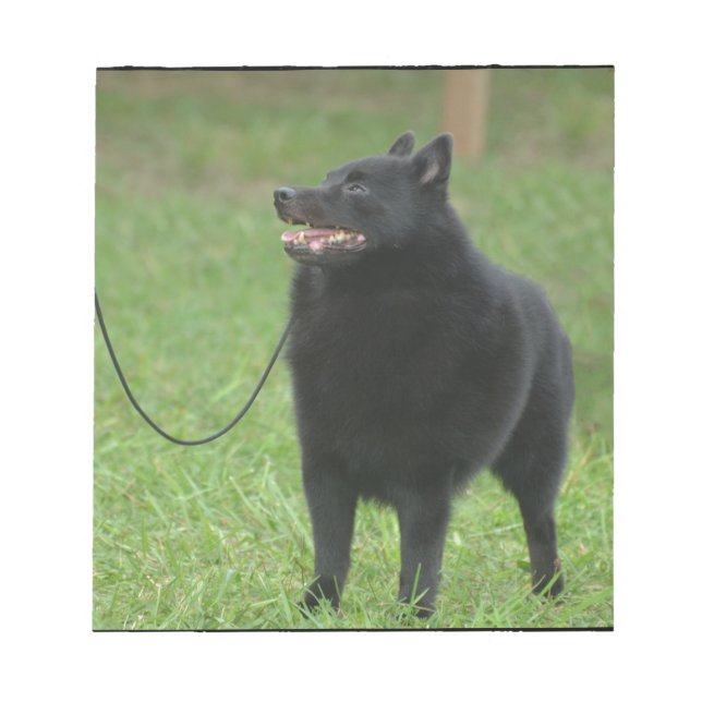 Bloc De Notas Perro Schipperke (Frente)