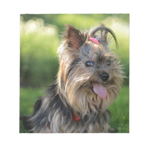 Bloc De Notas Perro Terrier Cute Little Yorkshire