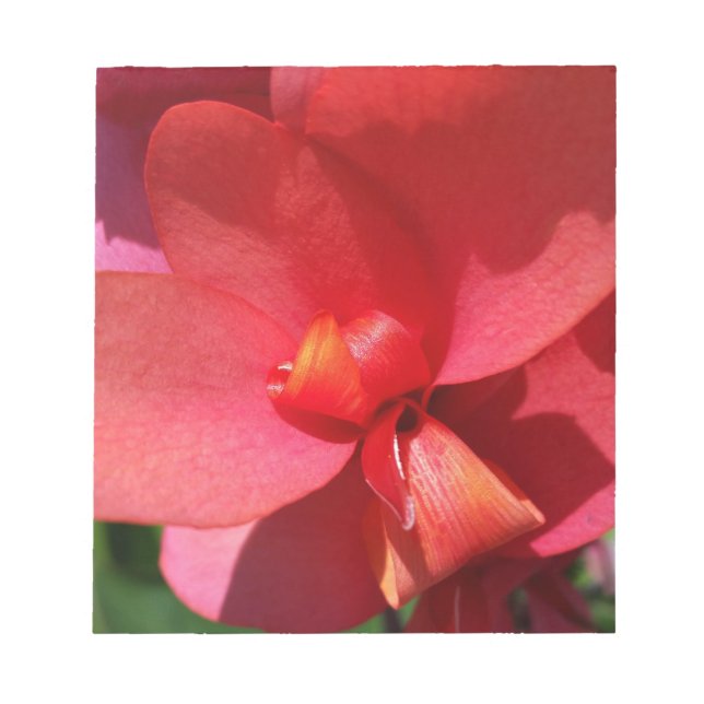 Bloc De Notas pétalos rojos brillantes (Frente)